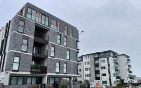 Private and Kāinga Ora housing development at Point Chevalier, Auckland
