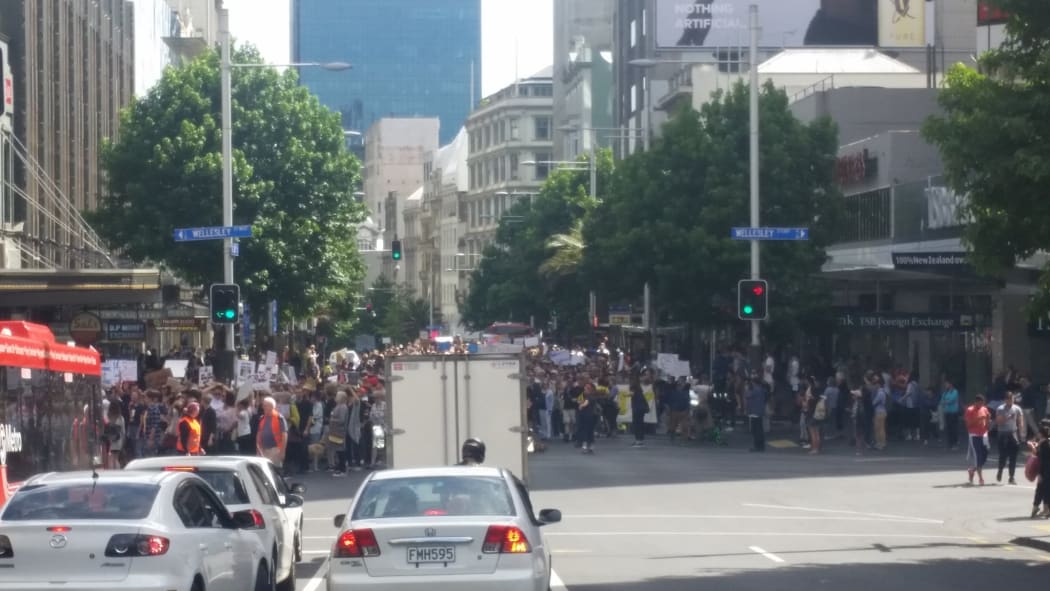 Women's march in Auckland.