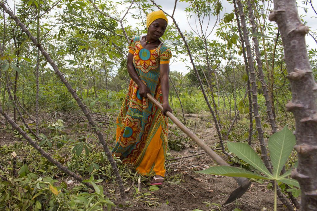 Woman works in her cassava field in Mkuranga, Tanzania.