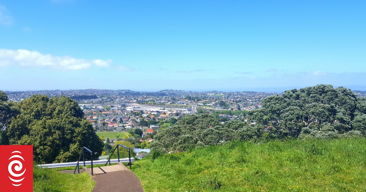 Greens, National mount attack on Labour stronghold of Mt Albert - Vimarsana News