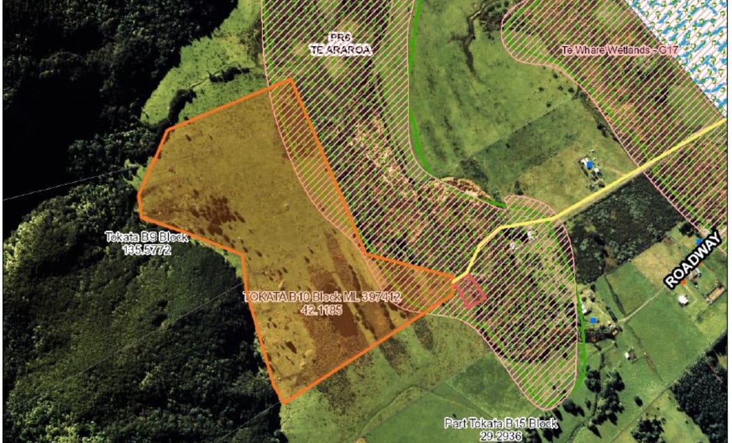 This aerial photograph shows the overlap of the mānuka plantation, marked in red, with the southwestern section of Te Whare Wetlands.