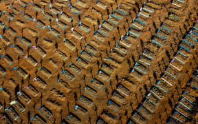 Aerial view showing graves in the Nossa Senhora Aparecida cemetery in Manaus on June 21, 2020.