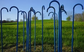 Walking sticks