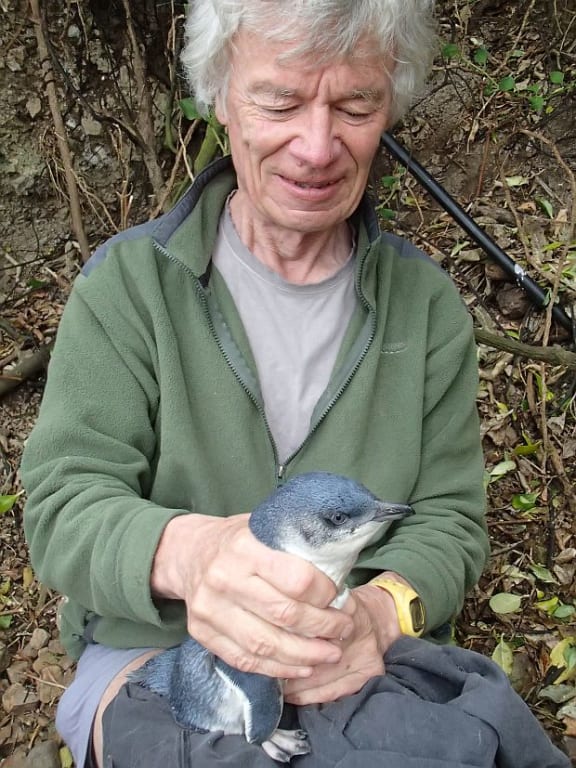 Geoff de Lisle holds an adult little penguin.