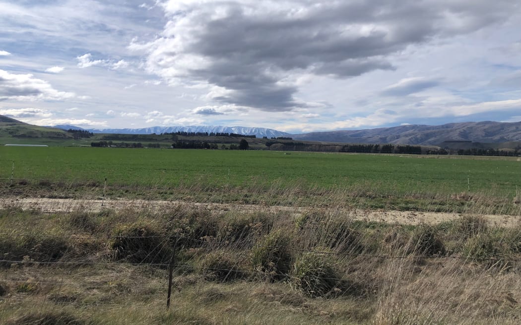 A long, flat green field. Far in the background are hills and snowcapped mountains.