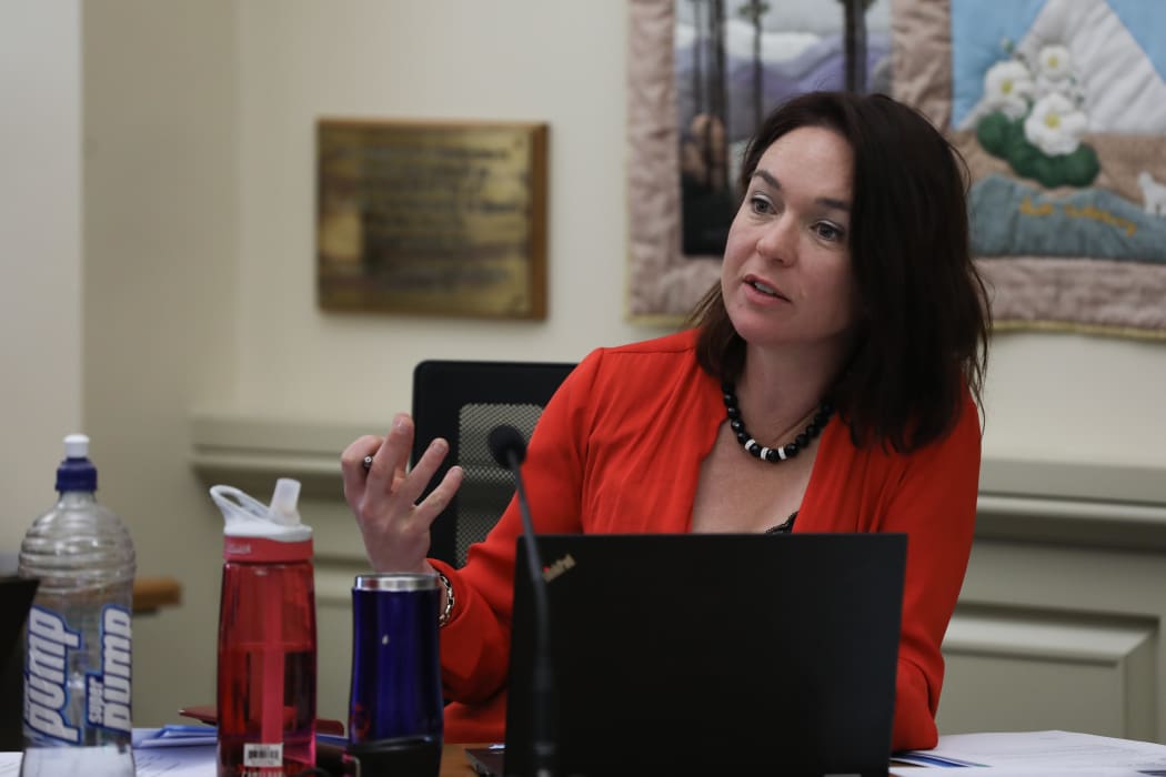 Labour MP Ginny Andersen in committee