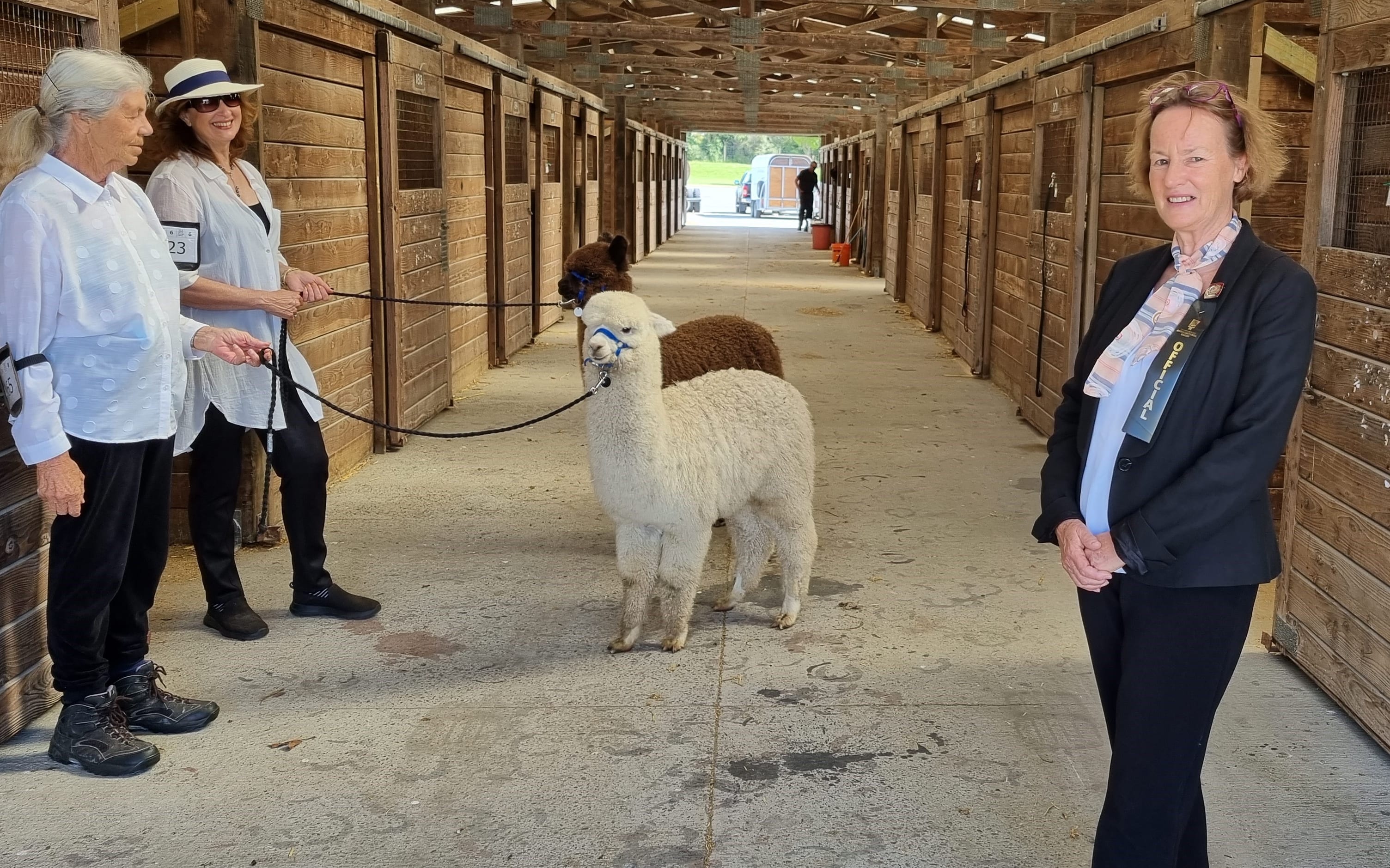 Anne Rogers, the conveyor of the alpaca section of the show, with two of the competitors.
