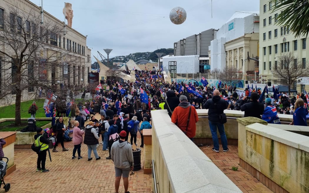 Crowds gather in Wellington to protest outside Parliament on 23 August 2022.