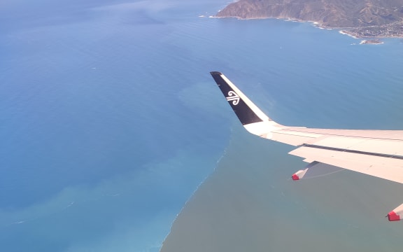 Sewage can be seen on Wellington's South Coast after a leak from the Moa Point wastewater plant.