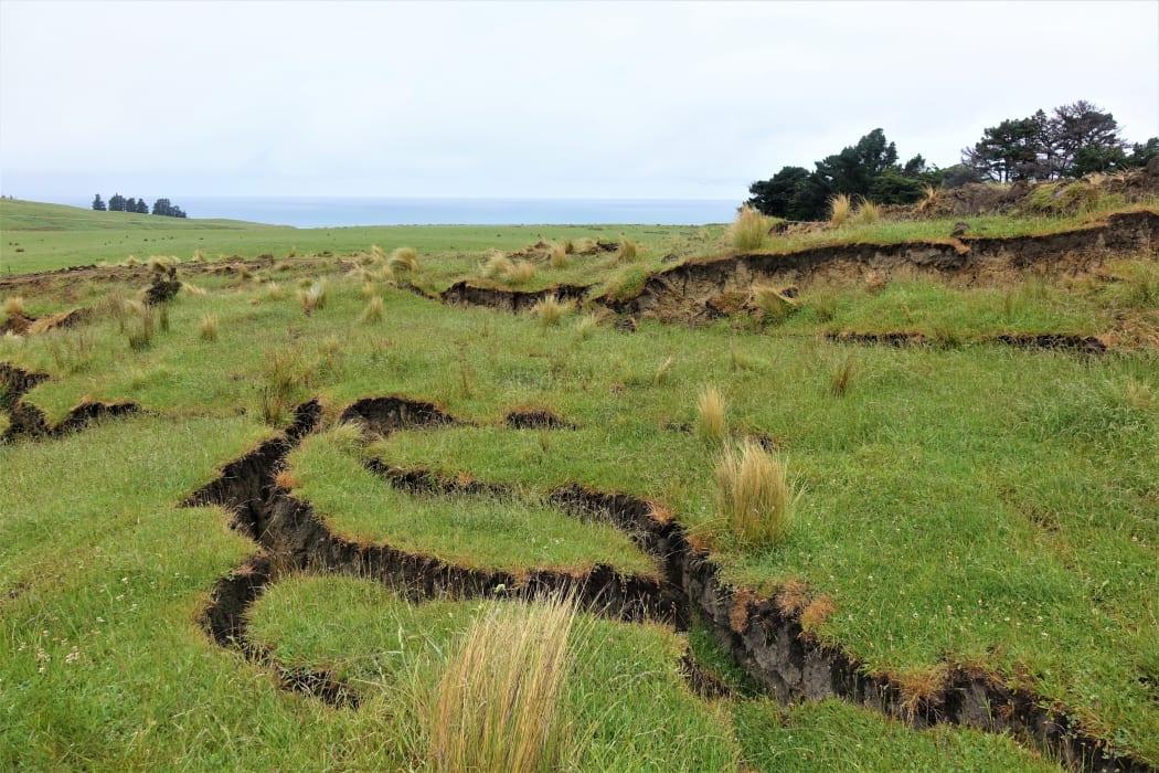 Cracks in the land at Kekerengu.