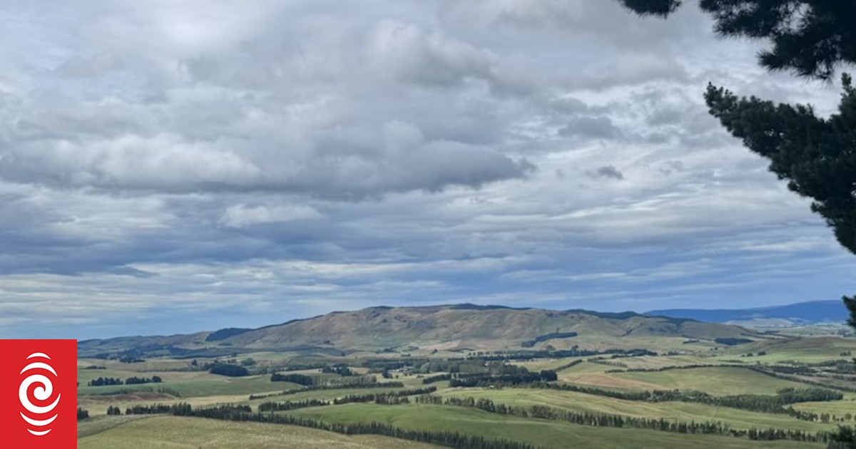 Te Araroa trail walkers trespassed after taking shortcut through active logging site - Vimarsana News