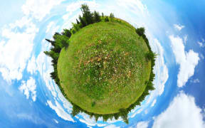 Circular