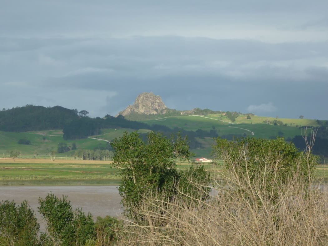 A view of Maungaraho near Arapohue.
