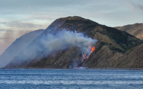 A fire in the Wellington suburb of Makara.
