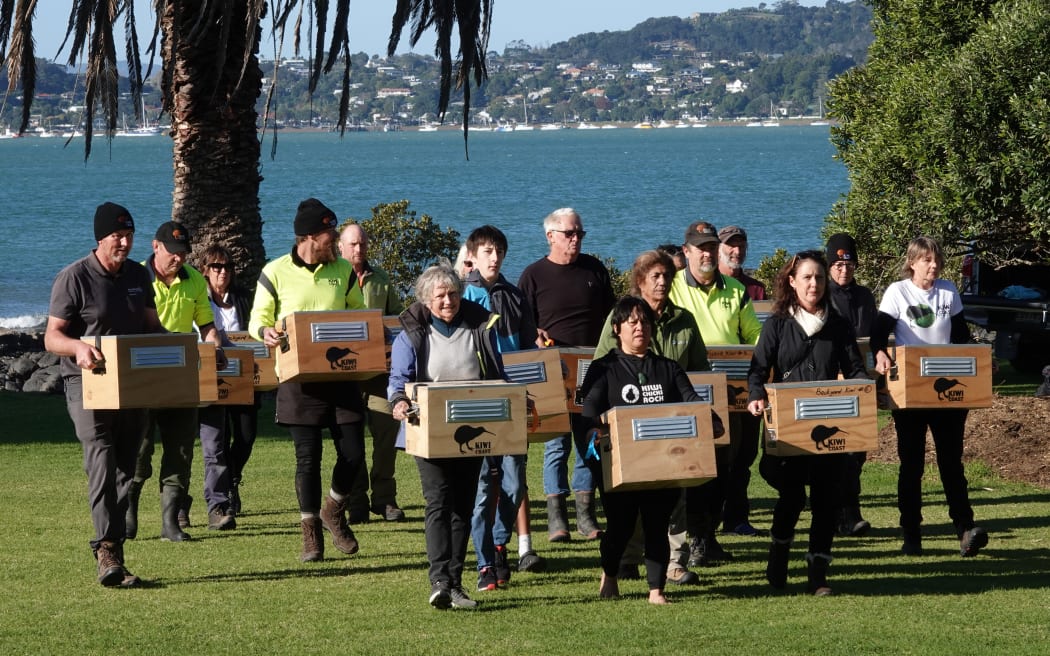 The kiwi arrives at Waitangi in 21 individual boxes after a trip by sea and road from Moturoa Island