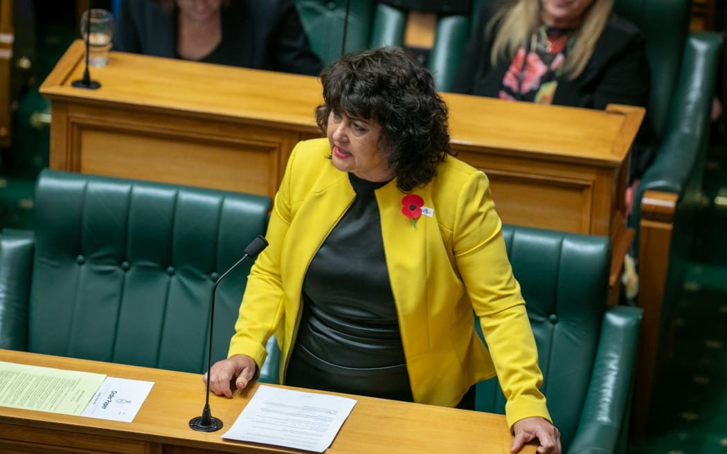 MPs speak during the second reading of the Principles of the Treaty of Waitangi Bill