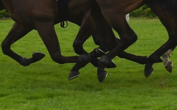 horse racing generic