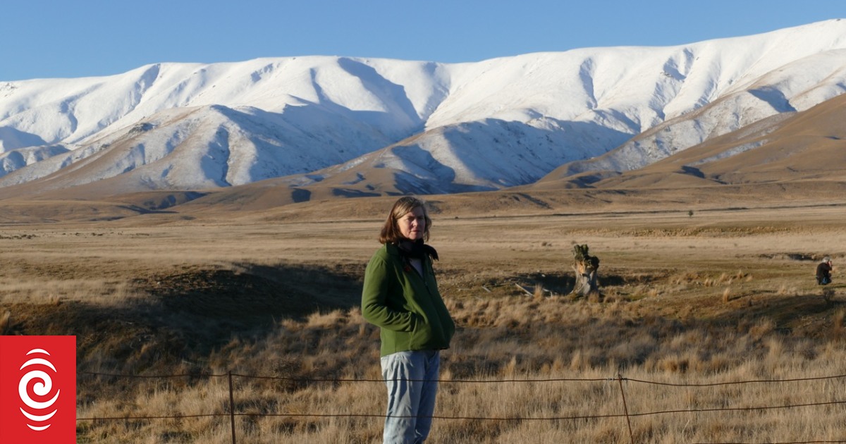 How Short Can A Poem Be Jenny Bornholdt RNZ