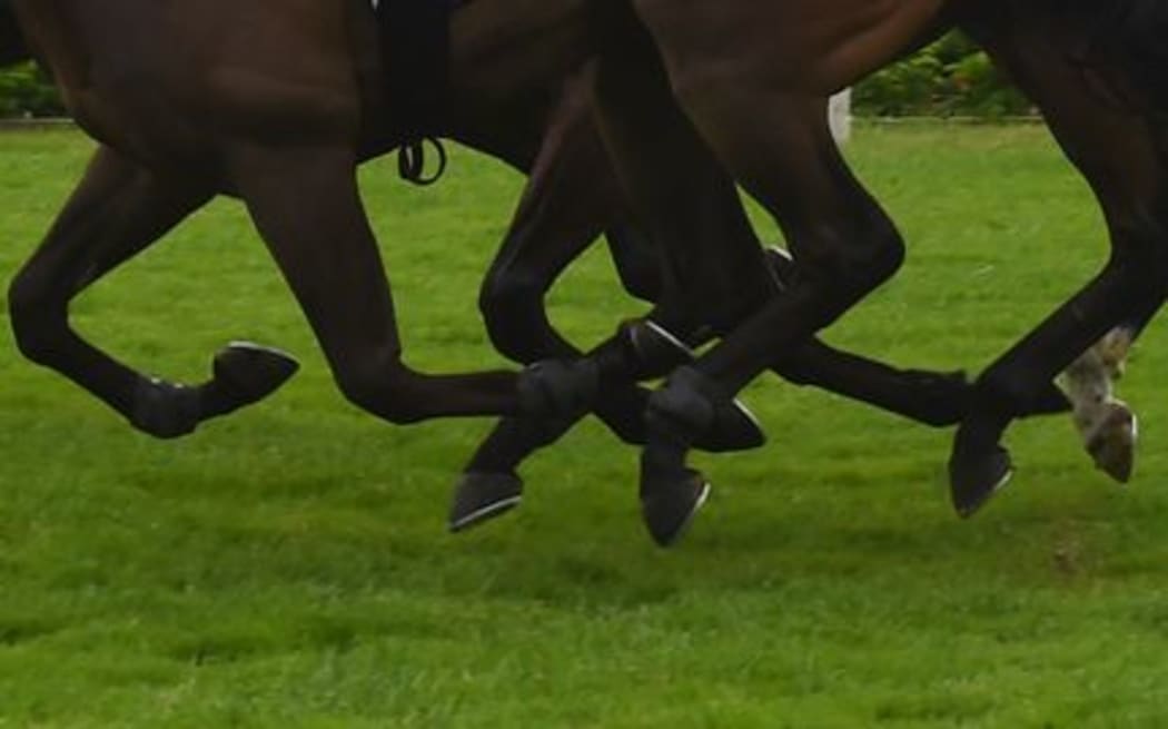 horse racing generic