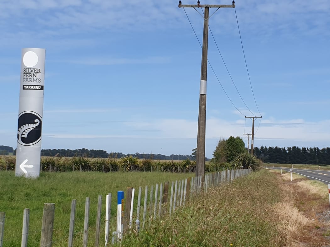 Silver Fern Farms in Takapau, Hawke's Bay.