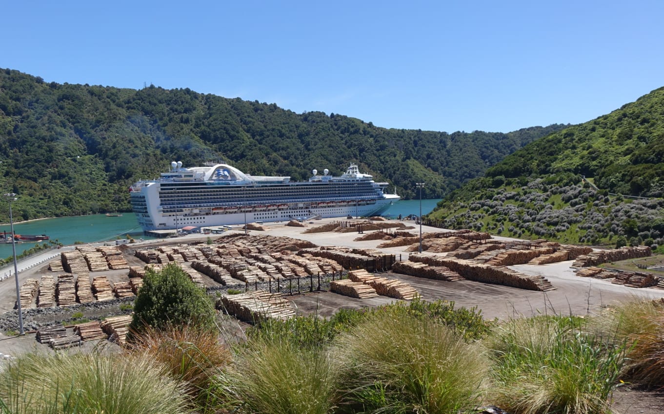 Emerald Princess in Shakespeare Bay.