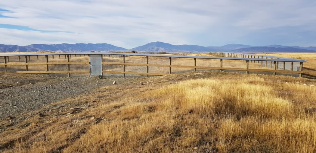 The predator free enclosure at Te Manahuna Aoraki.