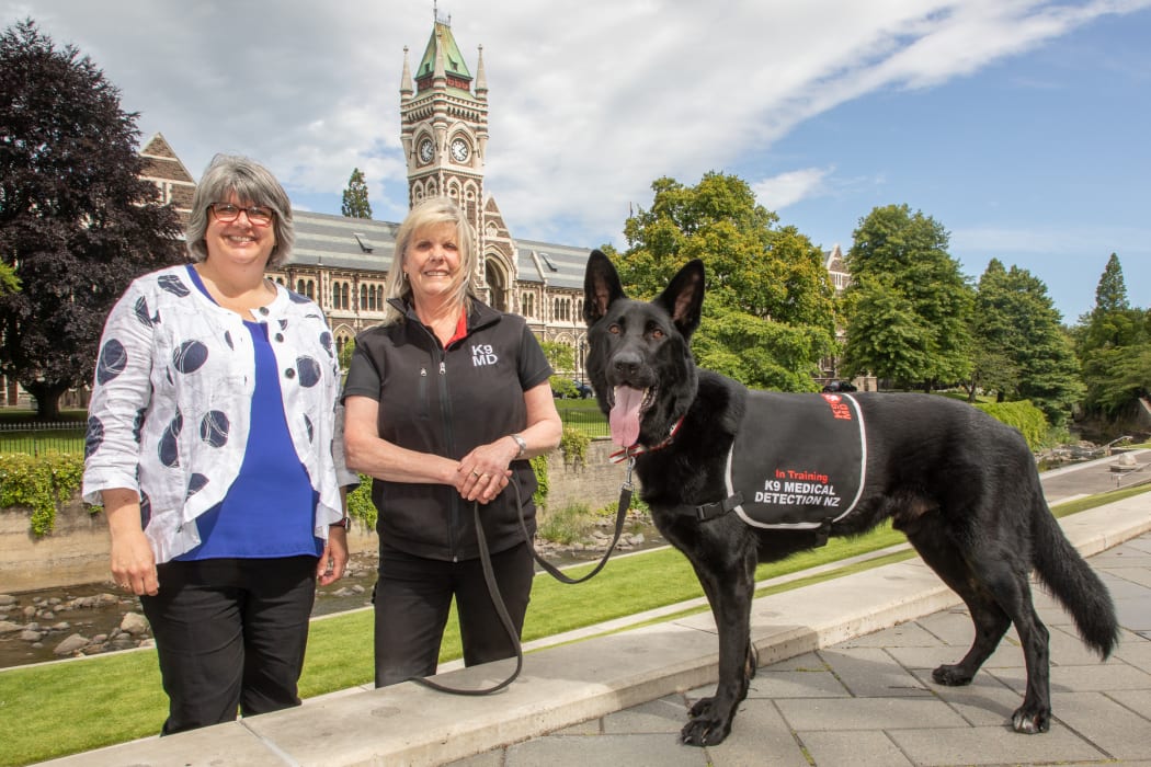 From left, Robin Turner, Pauline Blomfield and Levi