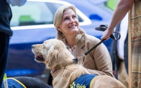 Britain's Sophie, Duchess of Edinburgh takes part in the Big Help Out, visiting a puppy class at the Guide Dogs for the Blind Association Training Centre in Reading, west of London on May 8, 2023. People across Britain were on Monday asked to do their duty as the celebrations for King Charles III's coronation drew to a close with a massive volunteering drive. (Photo by Paul Grover / POOL / AFP)