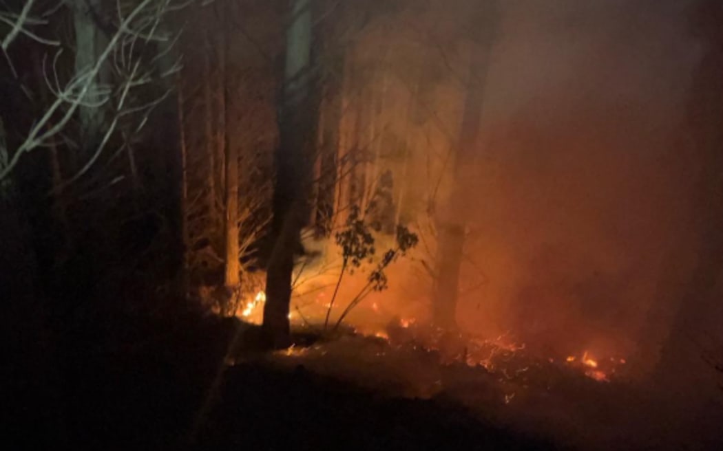 The Lismore Forest fire in fire spread under tall trees by 2am on Monday 15 December 2025. Fire crews were working to stop it moving up into the trees.