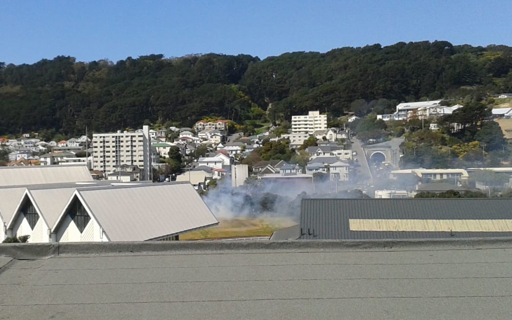 Grass fire on the bank at Wellington's Basin Reserve.