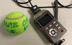One of tennis balls hurled at reporters on Tuesday by protestors - with the message "Hands off our kids."