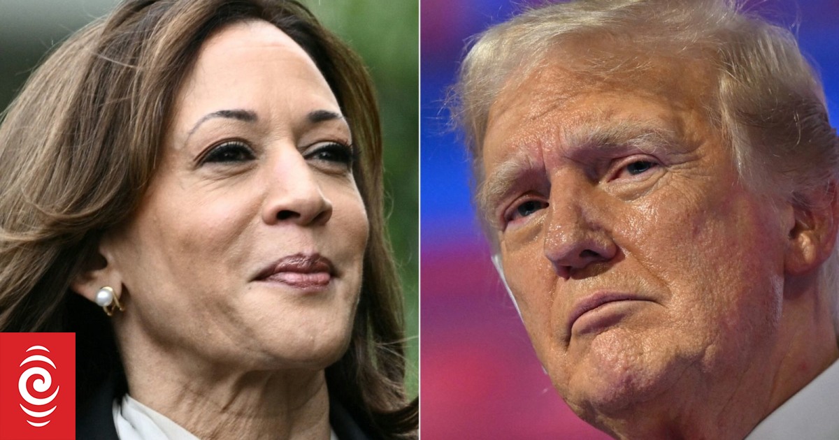 Wybory w USA: Czy Kamala Harris ma to, czego potrzeba, aby pokonać Trumpa?