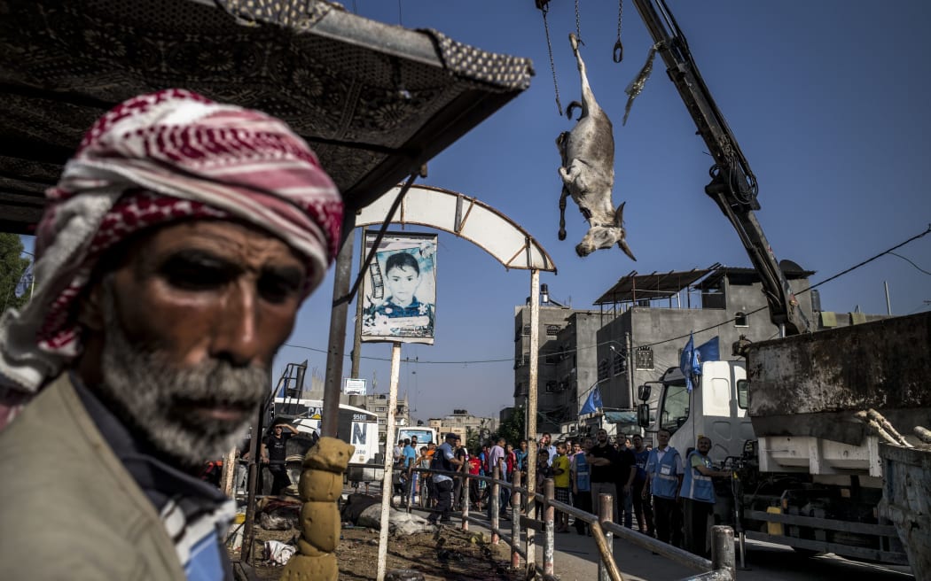 A Palestinian looks on at the carcass of a donkey killed earlier in the day during the strike on a UN school in the Jabalia refugee camp in the northern Gaza Strip.