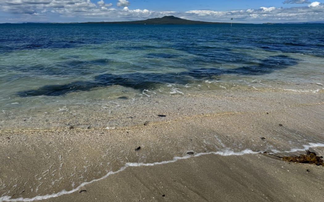 ocean, sea, beach, water, Auckland, Takapuna, Rangitoto, tide