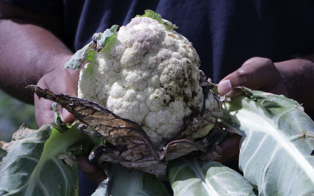 Cauliflower