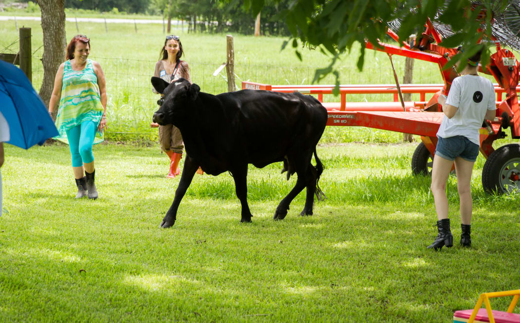 Renee King-Sonnen and rowdy girl