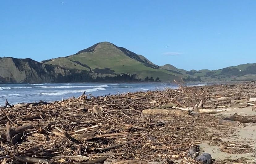 Tolaga Bay slash
