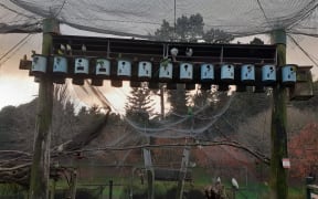 A zoologist’s report in February found the 1970s aviary needs to be updated to meet modern standards of care.