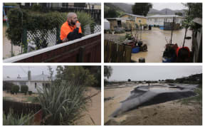 Flooding in Atawhai in Nelson