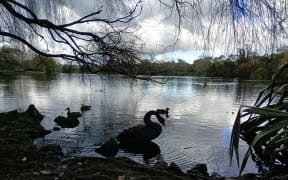 Western Springs lake, Te Wai Orea, "water of eels"