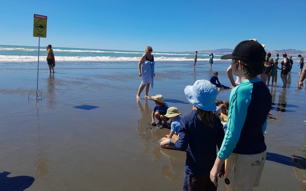 A shark warning has been put up at Christchurch's North Brighton Beach on 4 February.