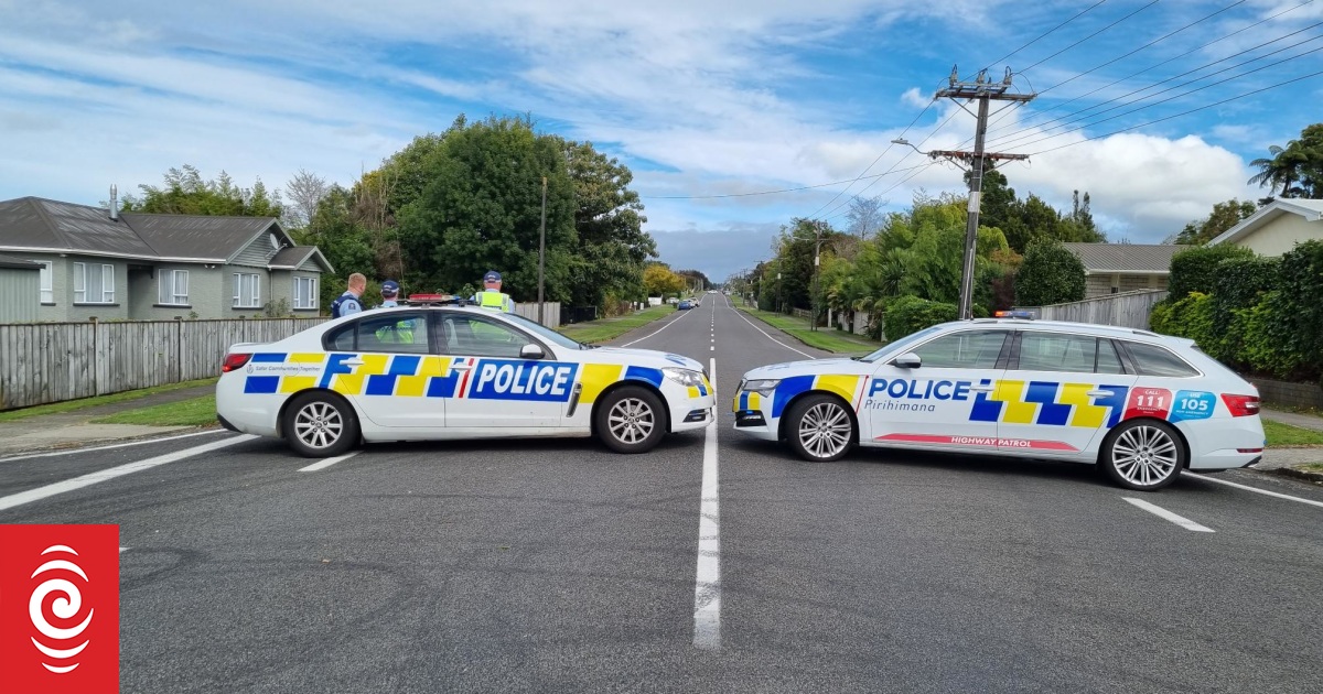 Man arrested after armed police standoff in Stratford | RNZ
