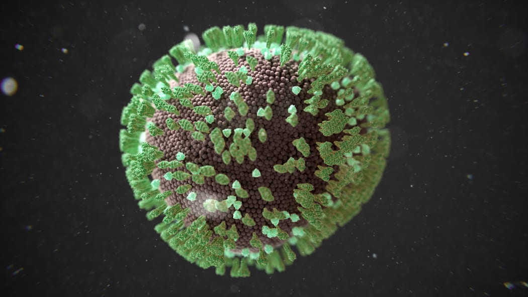 Illustration of a measles virus, a highly contagious pathogen responsible for measles infections. (Photo by THOM LEACH / SCIENCE PHOTO LIBRA / TLE / Science Photo Library via AFP)