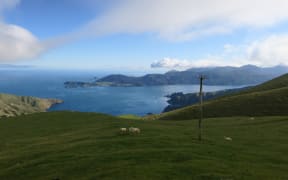 A new environment plan sets out requirements for all Marlborough Sounds homes to check their wastewater systems every five years or join a community scheme.
