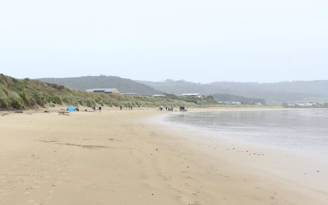 Curio Bay in the Catlins is one place where people are freedom camping in an area they're not supposed to.