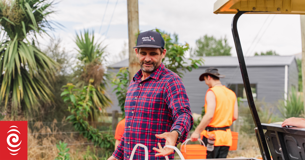 Households ponder pros, cons of gas against electricity as supply dwindles