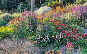 A garden in bloom