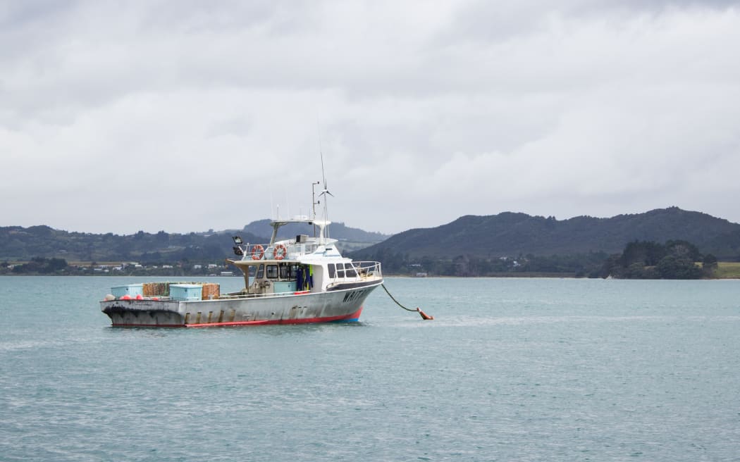A fishing boat sits in the Hokianga Harbour
