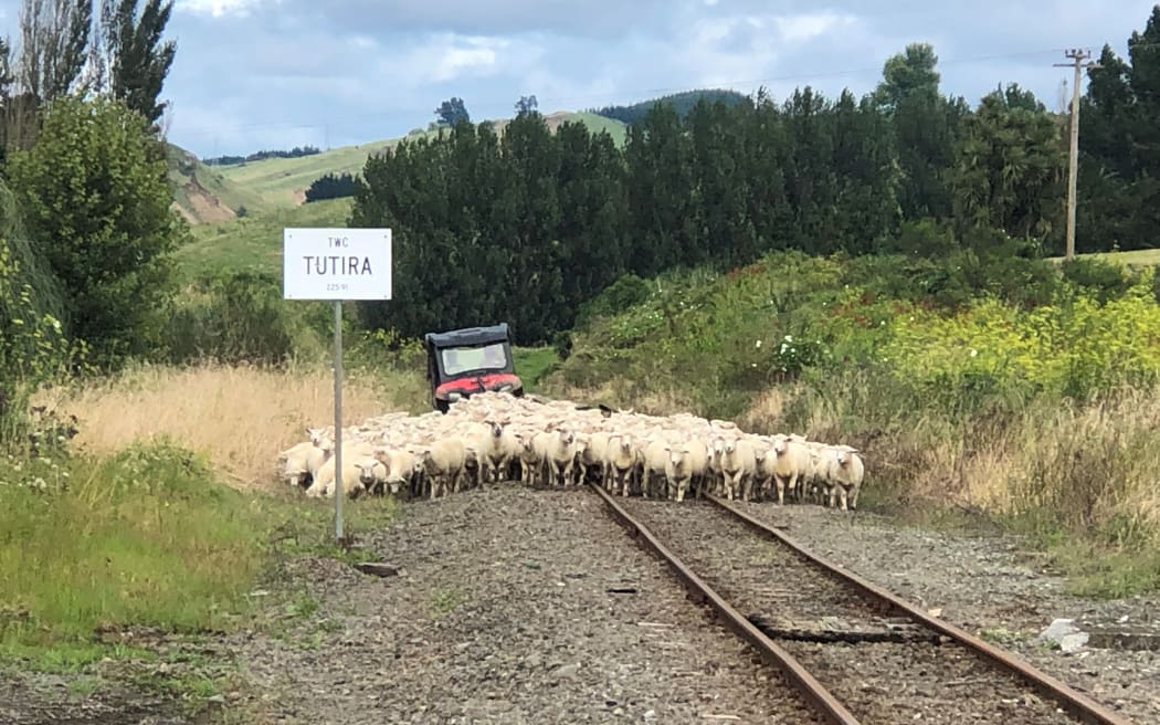 The rural community of Tūtira in Hawke's Bay was left isolated after Cyclone Gabrielle.