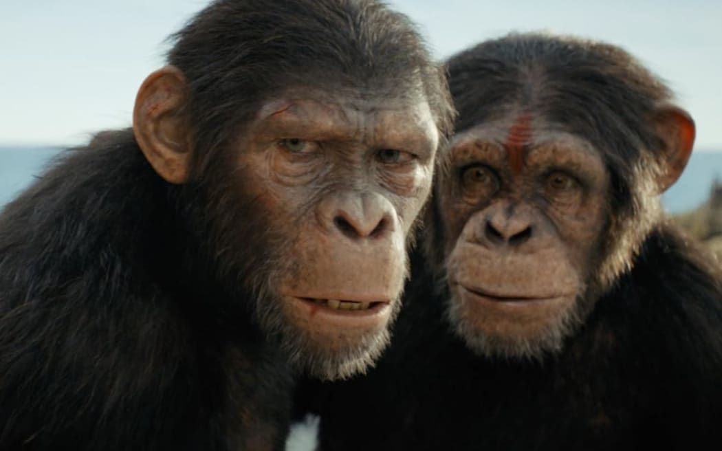 Sara Wiseman and Owen Teague in the 2024 film Kingdom of the Planet of the Apes